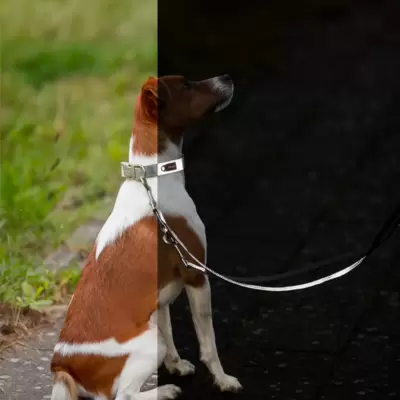 Reflektujuća ogrlica za pse Premium Reflect graphite Trixie