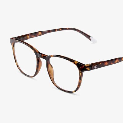 Naočare za zaštitu od plave svetlosti Barner Dalston Glossy Tortoise