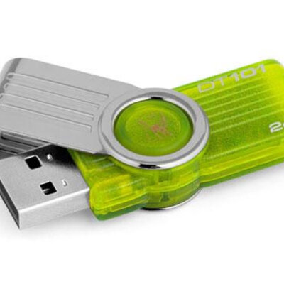 Kingston Fleš pen 2GB DT101G2