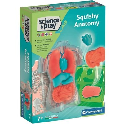 Clementoni Anatomija Squishy – edukativni set za decu