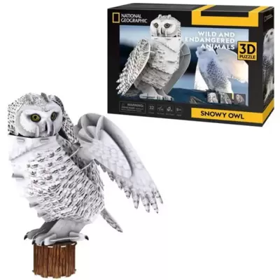 CubicFun 3D Puzzle Snežna Sova DS1079 - Edukativna Slagalica, 62 Dela