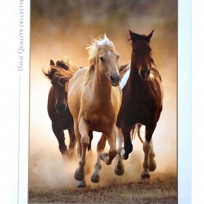 Puzzle slagalica 1000 delova Konji u galopu Clementoni HQC 39168