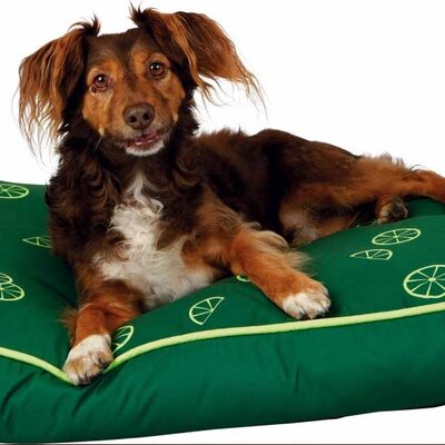Jastuk za psa Trixie Fresh Fruits Green 90cm 37362
