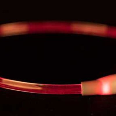 Svetleća ogrlica za pse malih i srednjih rasa, veličina S-M šarena Trixie 12666