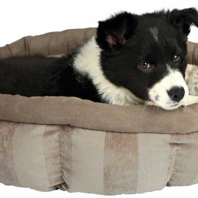 Trixie Krevet - ležaljka za male pse Leona 45cm 37409