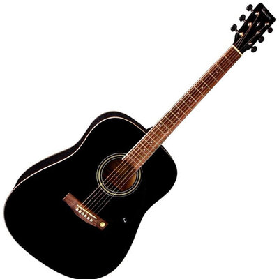 Tenson D10 Akustična gitara F501.316
