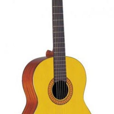 Klasična gitara Takamine G124S