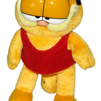 Garfield karatista 61-131