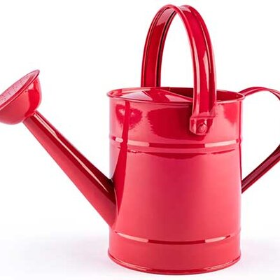 WOODY Dečja kantica za zalivanje crvena 91471