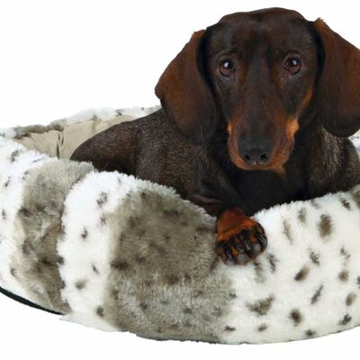 Krevet za male pse ili mačke Trixie Leika 50cm 36971