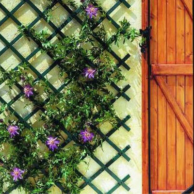 Merdevine Za Puzavice 1 x 3 m - Zelene