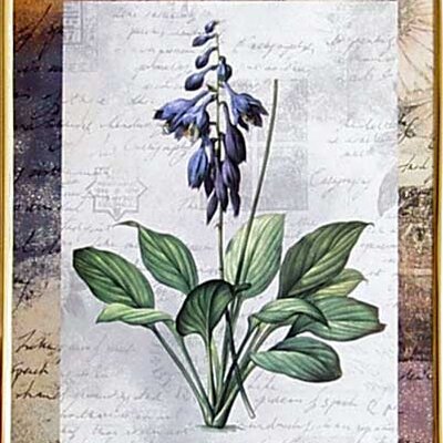 Cveće - 1041 - 40/50 P P1