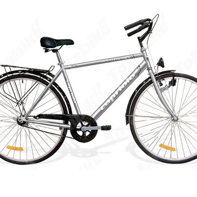 CTB AMSTERDAM MAN  srebrna