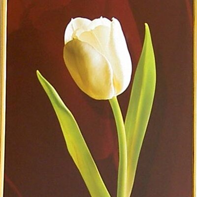 Lala - 1048 - 40/50 HPLN