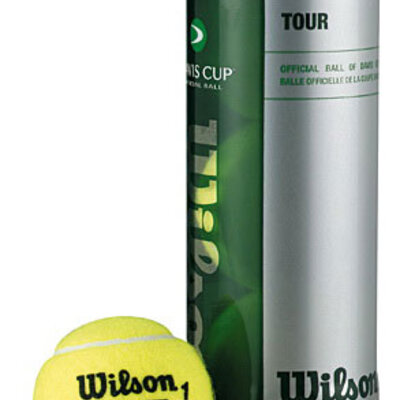 Wilson Loptice za tenis Tour Davis Cup 1/3 WRT105900