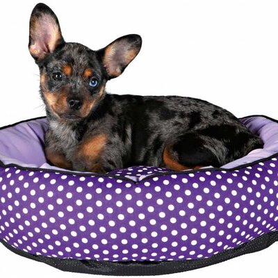Krevet za pse malih rasa Trixie Lilo 37405