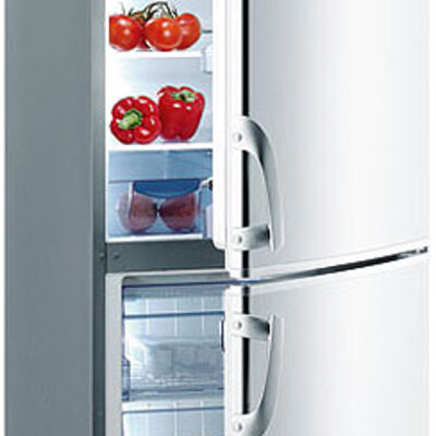 Kombinovani Frižider Gorenje RK6333AC