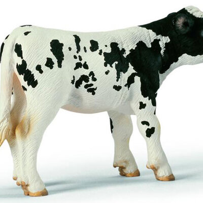 Schleich Domaće životinje - Holštajn Tele, stoji 13634  