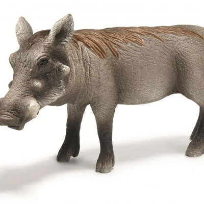 Schleich Divlje životinje - Bradavičasta Svinja 14613