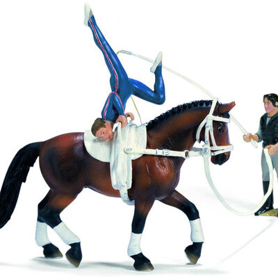 Schleich Domaće životinje - Garnitura za akrobacije 42002