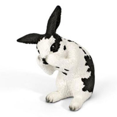 Schleich Domaće životinje - Kunić, doteruje se 13698