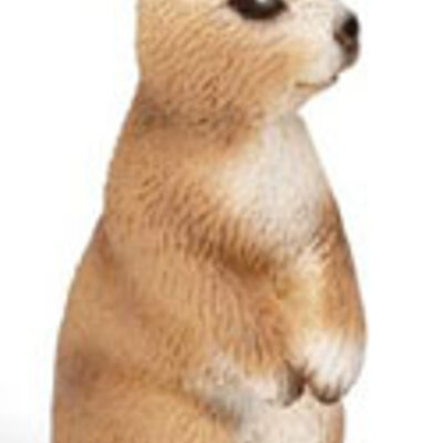 Schleich Domaće životinje - Kunić, stoji 13672