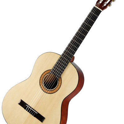 Walden Hawthorne HD220 akustična gitara