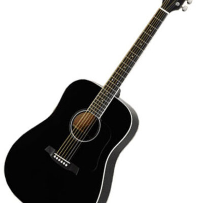 Walden Hawthorne HD221B akustična gitara