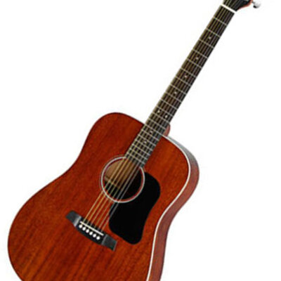 Walden Hawthorne HD221 akustična gitara