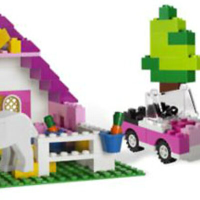 LEGO® Bricks and More Kocke - Velika Ružičasta Kutija Kocaka LE5560