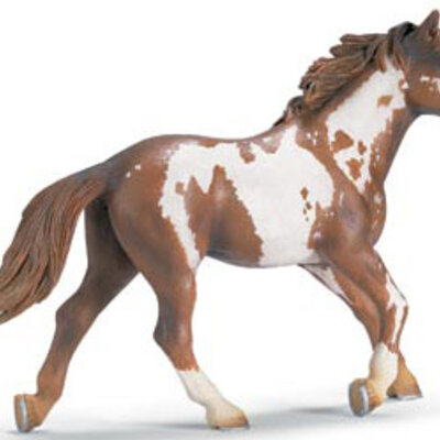 Schleich Domaće životinje - Pinto pastuv 13616