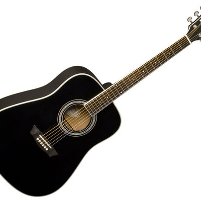 Washburn akustična gitara WD5SB