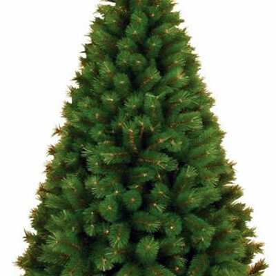 Veštačka Jelka Highland Fir 200 cm