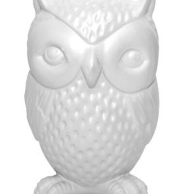 Kikkerland Kasica Sova PB15 