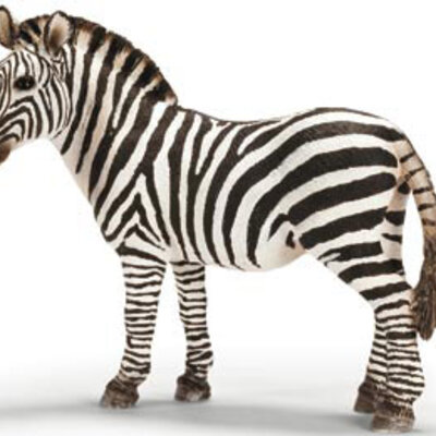 Schleich Divlje Životinje - Zebra, ženka 14392
