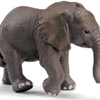 Schleich Divlje Životinje - Mladunče Afričkog Slona 14322