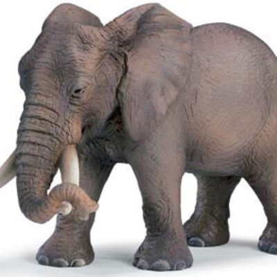 Schleich Divlje Životinje - Afrička Slonica 14342