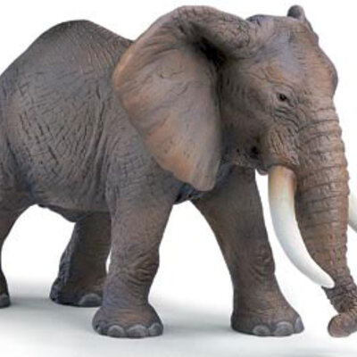 Schleich Divlje Životinje - Afrički Slon 14341