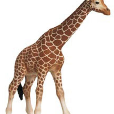 Schleich Divlje Životinje - Žirafa, ženka 14320