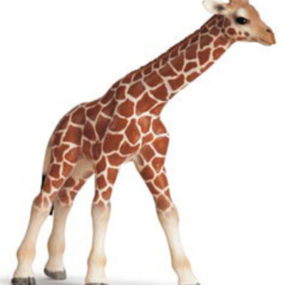 Schleich Divlje Životinje - Žirafa, mladunče 14321