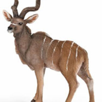 Schleich Divlje Životinje - Kudu Antilopa 14645