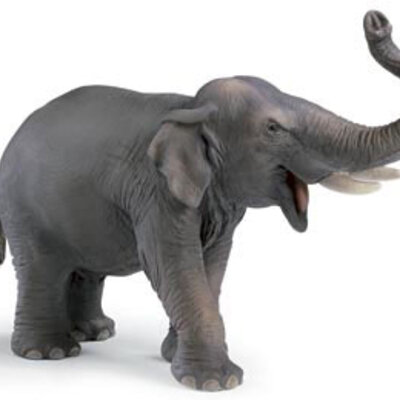 Schleich Divlje Životinje -Indijski Slon 14144