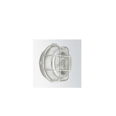 Zidna svetiljka s grlom E27 230 V ~ 100 W, siva 