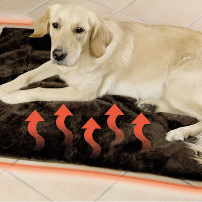 Prostirka Za Psa ili Mačku 100 x 70 cm