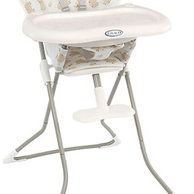 Graco Stolica za hranjenje TeaTime Bertie&Fern 5300032