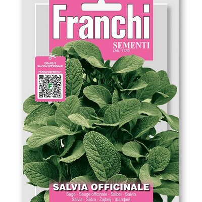 Žalfija seme 5 kesica Franchi Sementi Virimax