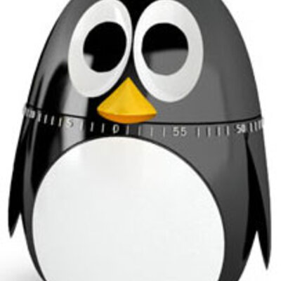 Kikkerland Kuhinjski tajmer Pingvin KT18