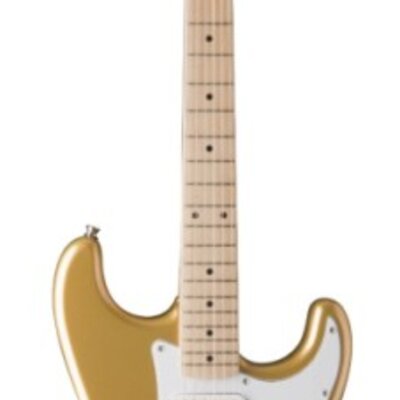 Jay Turser AMS JT 300 SHG električna gitara