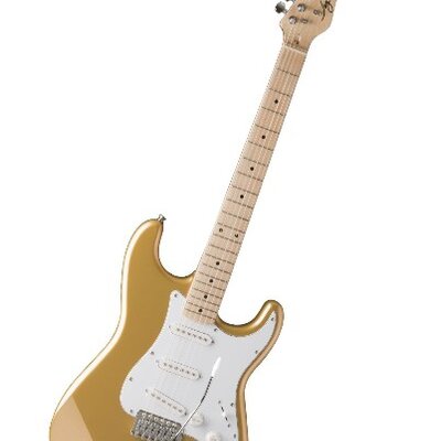 Jay Turser AMS JT 300M SHG električna gitara