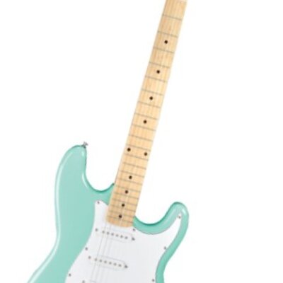 Jay Turser AMS JT 300M SFG električna gitara